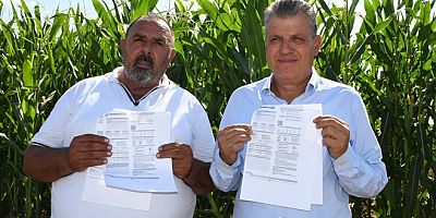 55 bin liralık elektrik faturası gelen çiftçi: “Fabrika mı çalıştırıyorum