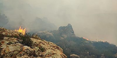 Bodrum’da orman yangını! Başkan Aras: “Bir sabotajın sonucu gibi”