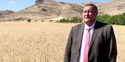 CHP'li Gürer’den Aspir bitkisi için araştırma önergesi: “Yağ açığını giderebilir”