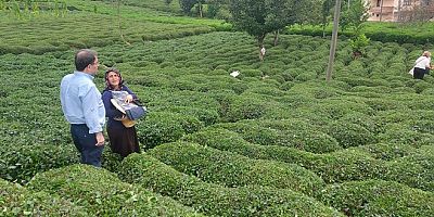 Rize'de çay üreticileri hayat pahalılığından yakındı: 'Sabredin, sabredin… Nereye kadar?'