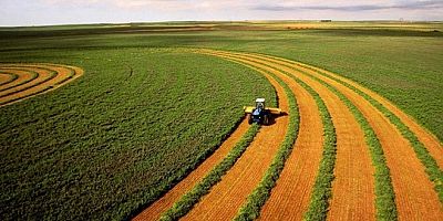 TİGEM tarım arazilerini kiraya açtı: Çiftçiye haber vermedi