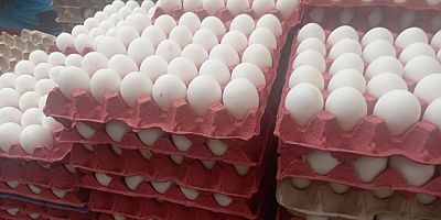 TÜİK: Nisan ayında yumurta üretimi yüzde 4 geriledi