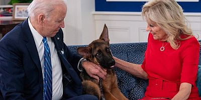 Biden'ın köpeği yine bir gizli ajanı ısırdı 