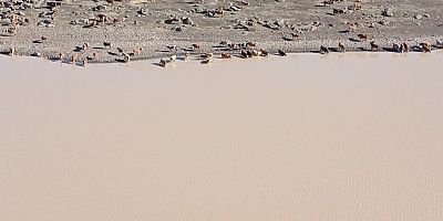 YSP'li Koçyiğit: Kars’ta 8 yıl önce yapılan baraj su sızdırıyor, tarım arazileri bataklığa dönüştü