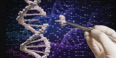 Antik DNA keşfi, insanlık tarihini yeniden yazdı: Nadir bir iz 'Haplogroup X'