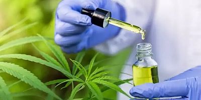 Sağlık Bakanı Memişoğlu açıkladı: Tıbbi Kenevir hangi hastalara verilecek?