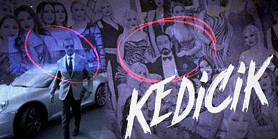 Türkiye'nin gündemine oturmuştu: 'Kedicik' belgeseli yayından kaldırıldı