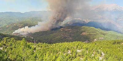 VİDEO- Alanya'da orman yangını: Havadan ve karadan müdahale!